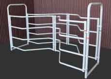 Roping Chute Scoring Lane