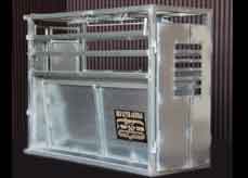 Combination Calf and Steer Roping Chute
